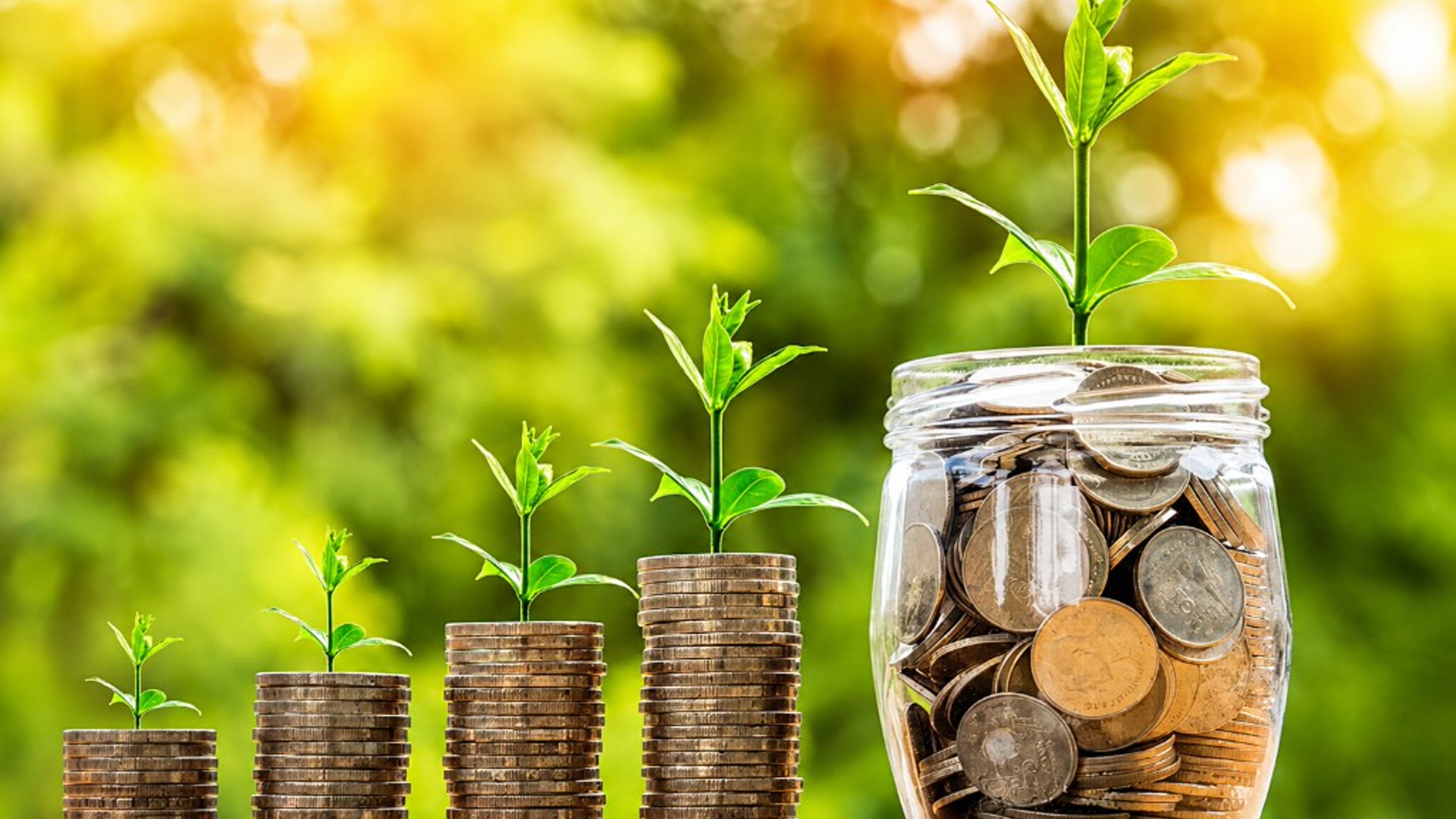 Growing savings: coin stacks and a jar of coins with plants, symbolizing ethical long-term wealth creation
